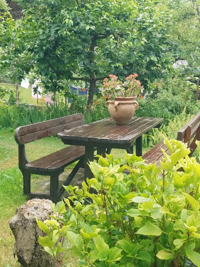 Apartma Raft, Bovec Bagian luar foto